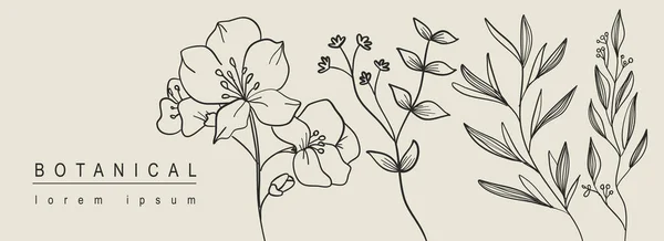 Βοτανικό Αφηρημένο Φόντο Floral Σχέδιο Γραμμή Τέχνης Οριζόντια Πανό Ελάχιστη — Διανυσματικό Αρχείο