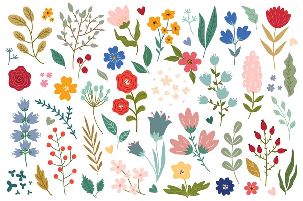花卉和香草超大集平面设计图形元素 束抽象的野花 风信子和其他草甸花 植物与叶子 矢量图解孤立物体 — 图库矢量图片