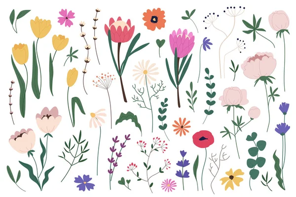 花卉和香草超大集平面设计图形元素 束抽象的野花 爆米花 郁金香和其他春天的花朵 野生的叶子植物 矢量图解孤立物体 — 图库矢量图片