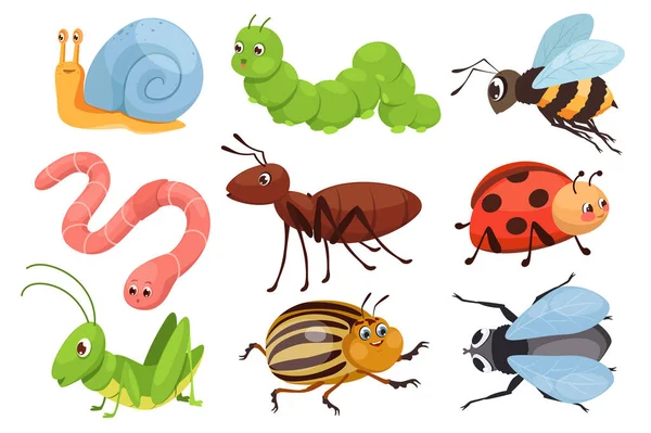 Cute Insects Mega Set Graphic Flat Design Bundle Elements Funny — Stock Vector