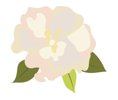 Düz dizaynlı soyut beyaz şakayık çiçeği. Yapraklarla süslenmiş zarif bir baş. Vektör çizimi izole edildi.