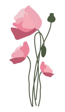 Düz dizaynlı kırmızı haşhaş çiçekleri. Tomurcuklu bitkiler. Vektör çizimi izole edildi.