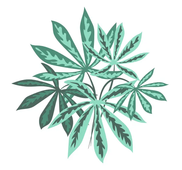 Kaštanové Listy Plochém Provedení Listoví Zelených Stromů Kyticí Větviček Izolovaná — Stockový vektor