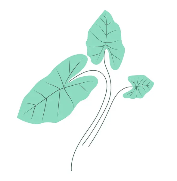 Abstraktní Velké Zelené Taro Listy Plochém Provedení Tropické Listy Stromů — Stockový vektor