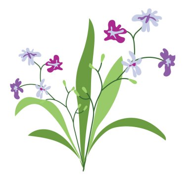 Düz dizaynlı, soyut, kır çiçekleri. İlkbahar çimlerle çiçek açar. Vektör çizimi izole edildi.