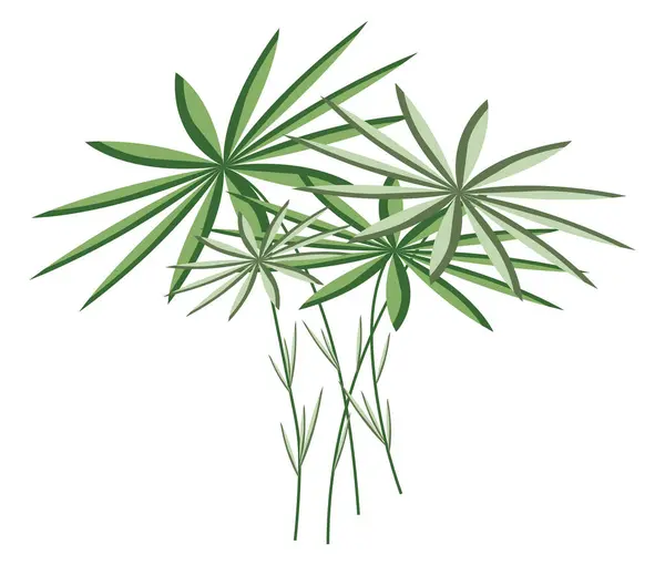 Absztrakt Trópusi Növény Lapos Kialakítású Levelekkel Zöld Papirusz Levelek Elkülönített Vektor Grafikák