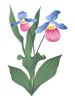 Düz tasarımda soyut iris. Mavi ve pembe yapraklı çiçekler. Vektör çizimi izole edildi.