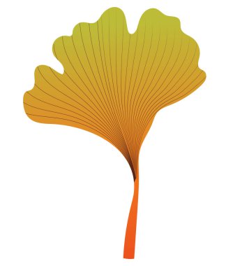 Düz dizaynlı turuncu ginkgo yaprağı. Dekoratif bitki yaprakları. Vektör çizimi izole edildi.