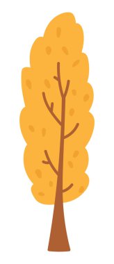 Düz dizaynlı sonbahar kavak. Turuncu yapraklı şirin orman ağacı. Vektör çizimi izole edildi.