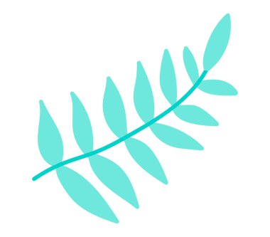 Düz dizaynlı yeşil dallı. Akasya orman yaprağı dalı. Vektör çizimi izole edildi.