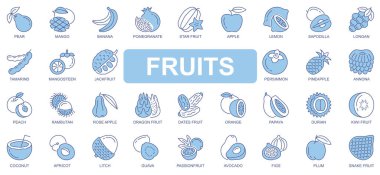 Fruits simgeleri, ağ için duotone ana hatlı vuruş tasarımı şeklinde ayarlandı. Armut, mango, muz, nar, elma, limon, tamarind, mangosteen, Jackfruit, hurma ve diğer şeyleri paketleyin. Vektör illüstrasyonu.