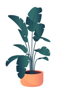 Kahverengi tencere düz vektör illüstrasyonunda büyük yaprakları olan yeşil bir saksı bitkisi. Dekor ve sanat projeleri için soyut botanik çizimler. Canlı minimalist stil.