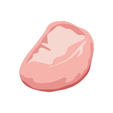 Düz dizaynlı tavuk eti. Pembe pişmemiş tavuk fileto, kasap menüsü. Vektör çizimi izole edildi.