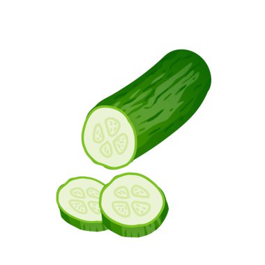 Düz dizaynlı yeşil salatalık. Doğal organik sebze. Vektör çizimi izole edildi.