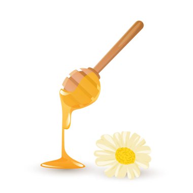 Düz dizaynlı ballı kaşık. Geleneksel çatal bıçak ve papatya çayı. Vektör çizimi izole edildi.