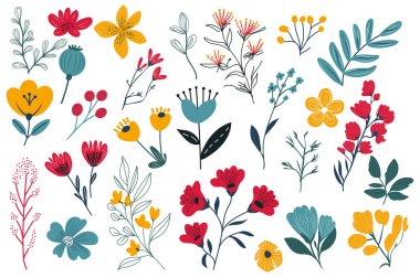 Düz grafik dizaynlı yaz çiçeği. Renkli çizimlerle izole edilmiş elementler haşhaş, papatya, gül, diğer çayır çiçekleri, çiçek çiçekleri, yapraklar, dal ve çimenler. Vektör illüstrasyonu.