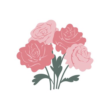 Düz dizaynlı pembe güller. Güzel romantik botanik çiçekleri. Vektör çizimi izole edildi.