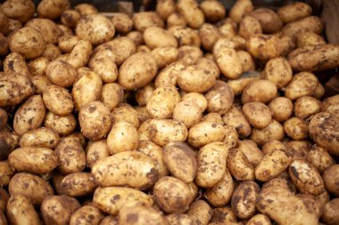 İstanbul, beylikduzu - Türkiye - 04.13.2023: Market alışverişi, taze sebze, patates.