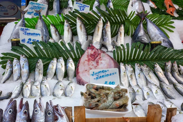 İstanbul, beylikduzu - Türkiye - 04.28.2023: Market, taze balık, balık pazarı. Deniz Gıda.