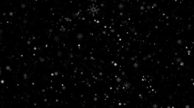 Düşen Kar Parçacıkları Kara Arkaplanda Döngü Animasyonu. Sert kış fırtınasında beyaz kar taneleri ekranda hareket ediyor. 4K hareketli görüntü.