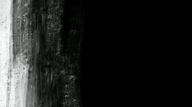 Boya Fırçası Soyut Geçiş Animasyon Arkaplanı. Siyah ve Beyaz Fırça Vuruşu Arkaplanı