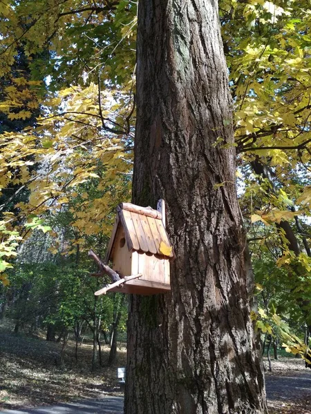 Birdhouse Uma Árvore Paisagem Outono Fundo Natural — Fotografia de Stock