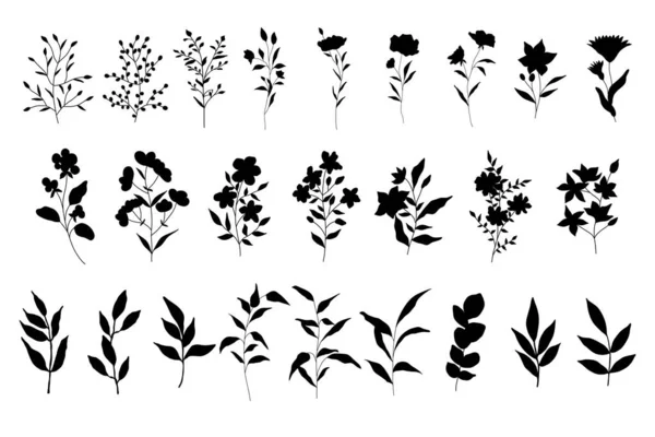 Siluetler Dekoratif Çiçek Dalları Seti Çiçeksel Ayrı Tasarım Elementleri Siyah — Stok Vektör