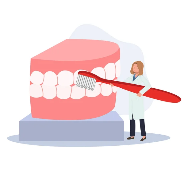 Концепція Стоматологічної Медицини Жінка Стоматолог Великою Зубною Щіткою Представляє Або — стоковий вектор