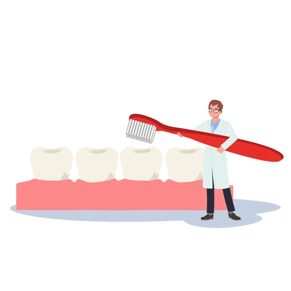 Стоматологическая Концепция Мужской Стоматолог Большой Зубной Щеткой Представляет Показывает Чистить — стоковый вектор