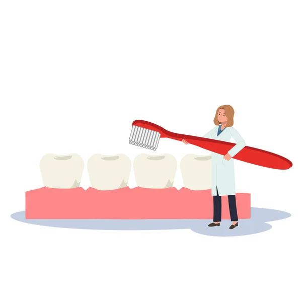 Концепція Стоматологічної Медицини Жінка Стоматолог Великою Зубною Щіткою Представляє Або — стоковий вектор
