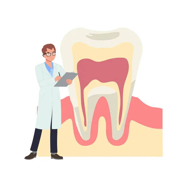 Zahnmedizinisches Zahnärztliches Kontrollkonzept Zahnarzt Mit Einer Großen Zahnanatomie Struktur Prüfen — Stockvektor