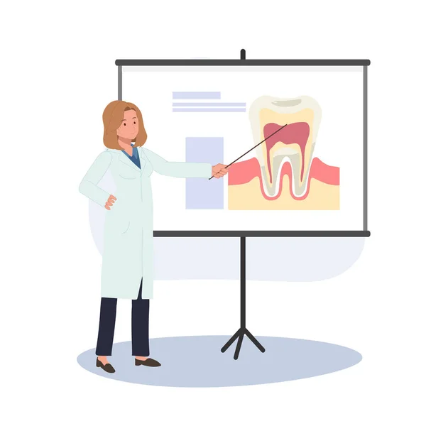 Dental Medical Concept Female Dentist Clipboard Pointer Explains Tooth Whiteboard — Stock Vector