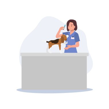 Evcil hayvanları olan profesyonel bir veteriner. Şırıngalı veteriner. Bayan veteriner köpeğe aşı vermeye gidiyor. Düz vektör karikatür çizimi