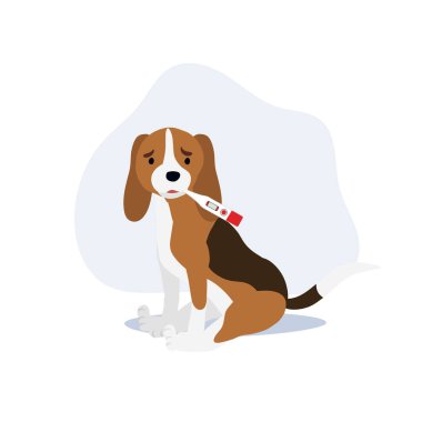 Kötü köpek konsepti. Termometresi olan bir köpek. Düz vektör karikatür çizimi