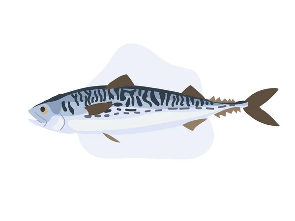 Raw Mackerel Japanese Mackerel Fish Food Seafood Cartoon Vector Illustration — Stock Vector