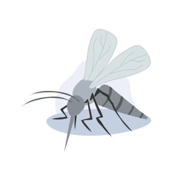 Sivrisinek tasviri. Yaz böceği. Hastalık taşıyan sivrisinek. Düz vektör karikatür çizimi