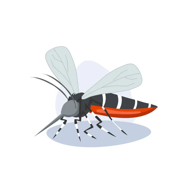 Aedes Mosquito Vector Illustration Zika Dengue Chikungunya Threat Insetto Diffusione — Vettoriale Stock