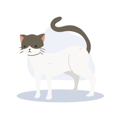 Sevimli Kedi. Kedi Sevenler için Sevimli Kedi Sanatı çizgi filmi. Komik kedi çizgi filmi.