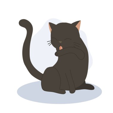 Şirin kedi yavrusu kendi kendini tımar etmek ve temizlik için kolunu yalıyor. Sevimli hayvan hijyeni..