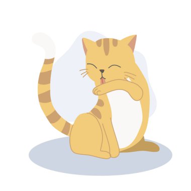 Şirin kedi yavrusu kendi kendini tımar etmek ve temizlik için kolunu yalıyor. Sevimli hayvan hijyeni..