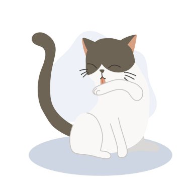 Şirin kedi yavrusu kendi kendini tımar etmek ve temizlik için kolunu yalıyor. Sevimli hayvan hijyeni..