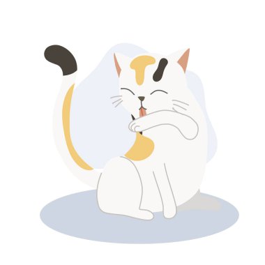 Şirin kedi yavrusu kendi kendini tımar etmek ve temizlik için kolunu yalıyor. Sevimli hayvan hijyeni..