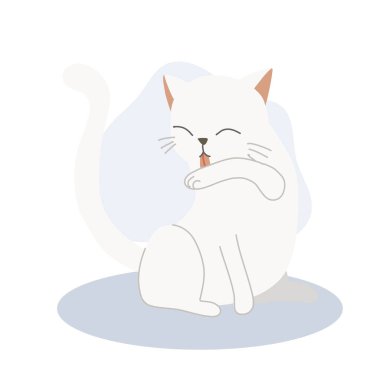 Şirin kedi yavrusu kendi kendini tımar etmek ve temizlik için kolunu yalıyor. Sevimli hayvan hijyeni..