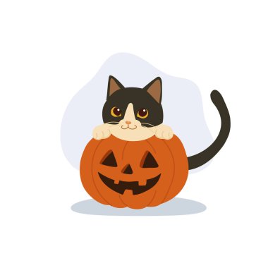 Balkabağının içindeki cadılar bayramı kedisi Noel eserleri için balkabağı Jack o feneri.