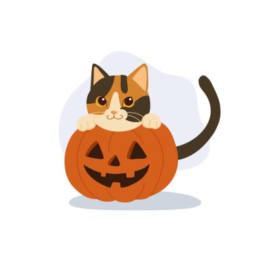 Jack o Lantern balkabağı karikatür çizimi olan şirin cadılar bayramı kedisi Ekim ayının sanat eserleri tasarımı