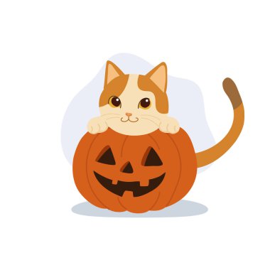 Tatlı cadılar bayramı kedisi balkabaklı Jack o fener komik kedi çizgi film çizimi mevsimlik sanat eserleri ve tatil tasarımı