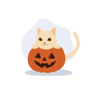 Cadılar Bayramı kedi illüstrasyonu ve balkabağı Jack o fener sevimli kedi yavrusu sezonluk sanat eserleri Ekim tatili için mükemmel.