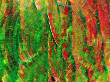 Dijital soyut arkaplan. Renkli desen. Dijital çizim. Poster, broşür, el ilanı ve kart için yaratıcı grafik tasarımı. Eşsiz duvar kâğıdı. Ağ, kumaş ve not defteri kapağı için arkaplan.