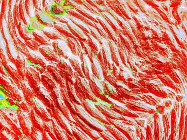 Dijital soyut arkaplan. Renkli desen. Dijital çizim. Poster, broşür, el ilanı ve kart için yaratıcı grafik tasarımı. Eşsiz duvar kâğıdı. Ağ, kumaş ve not defteri kapağı için arkaplan.