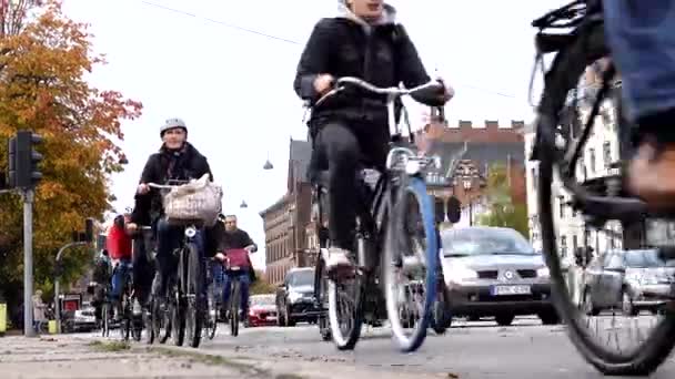 Copenhagen Denmark Bicyclists Riding Andersens Boulevard Downtown — Stock Video